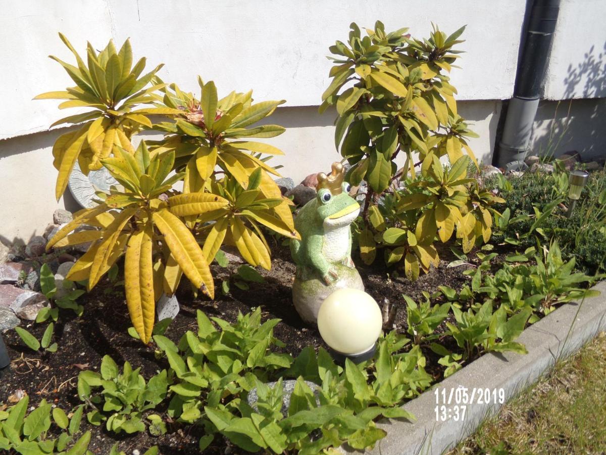 Villa Iwona กชึชโบโว ภายนอก รูปภาพ