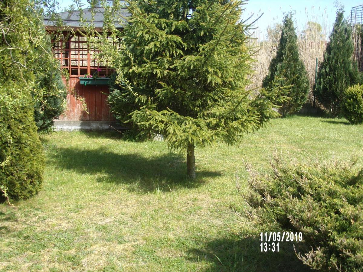 Villa Iwona กชึชโบโว ภายนอก รูปภาพ